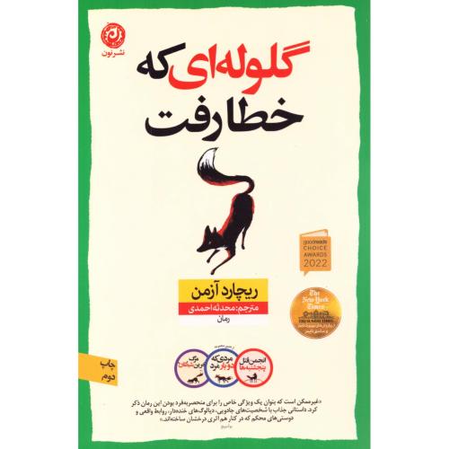 گلوله‌ای که خطا رفت/آزمن/احمدی/نون