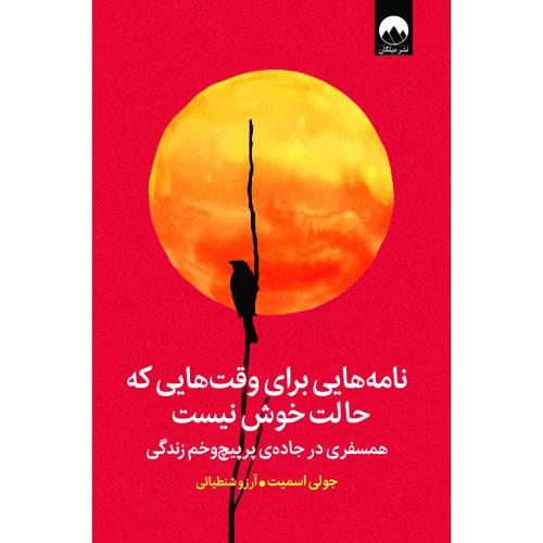 نامه‌هایی برای وقت‌هایی که حالت خوش نیست/اسمیت/شنطیائی/میلکان